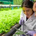 Agricultural R&D investment on the rise
