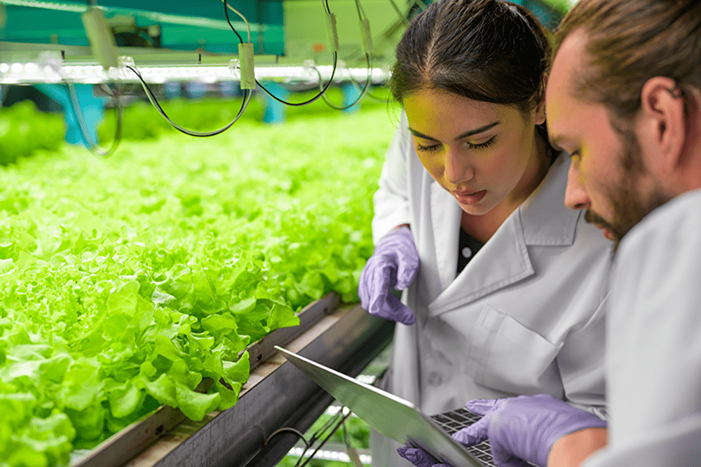 Agricultural R&D investment on the rise