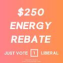 Our Energy Bill Saver will deliver a $250 rebate off your energy ...