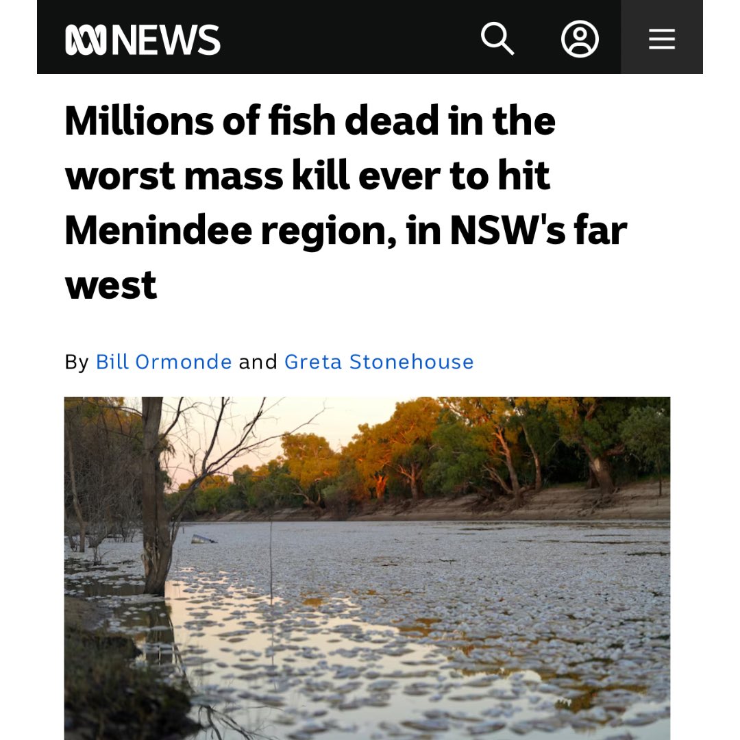 Tragically, we are once again seeing millions of fish die in anot...