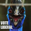 This Saturday, just Vote 1 Liberal to #KeepNSWMovingForward...
