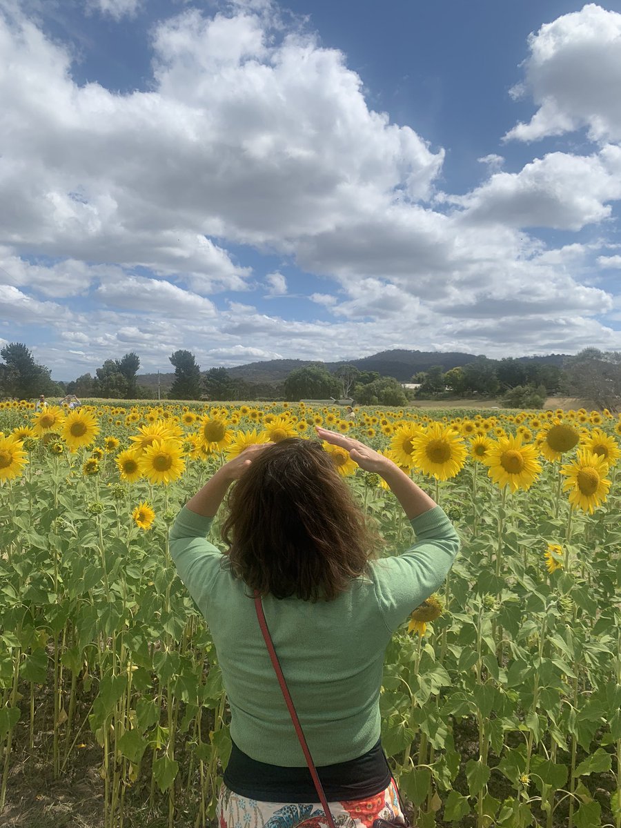 #cbr #foodandfibre #majuravalleyeggfarm ...