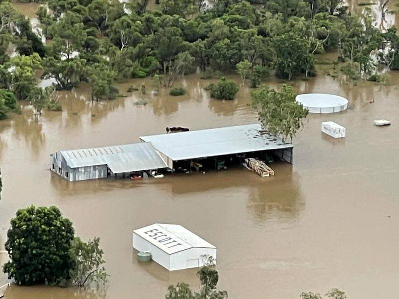 Cattle stations across Nth West Qld have been devastated by last ...