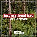 Today is an opportunity to recognise the key role forest industri...