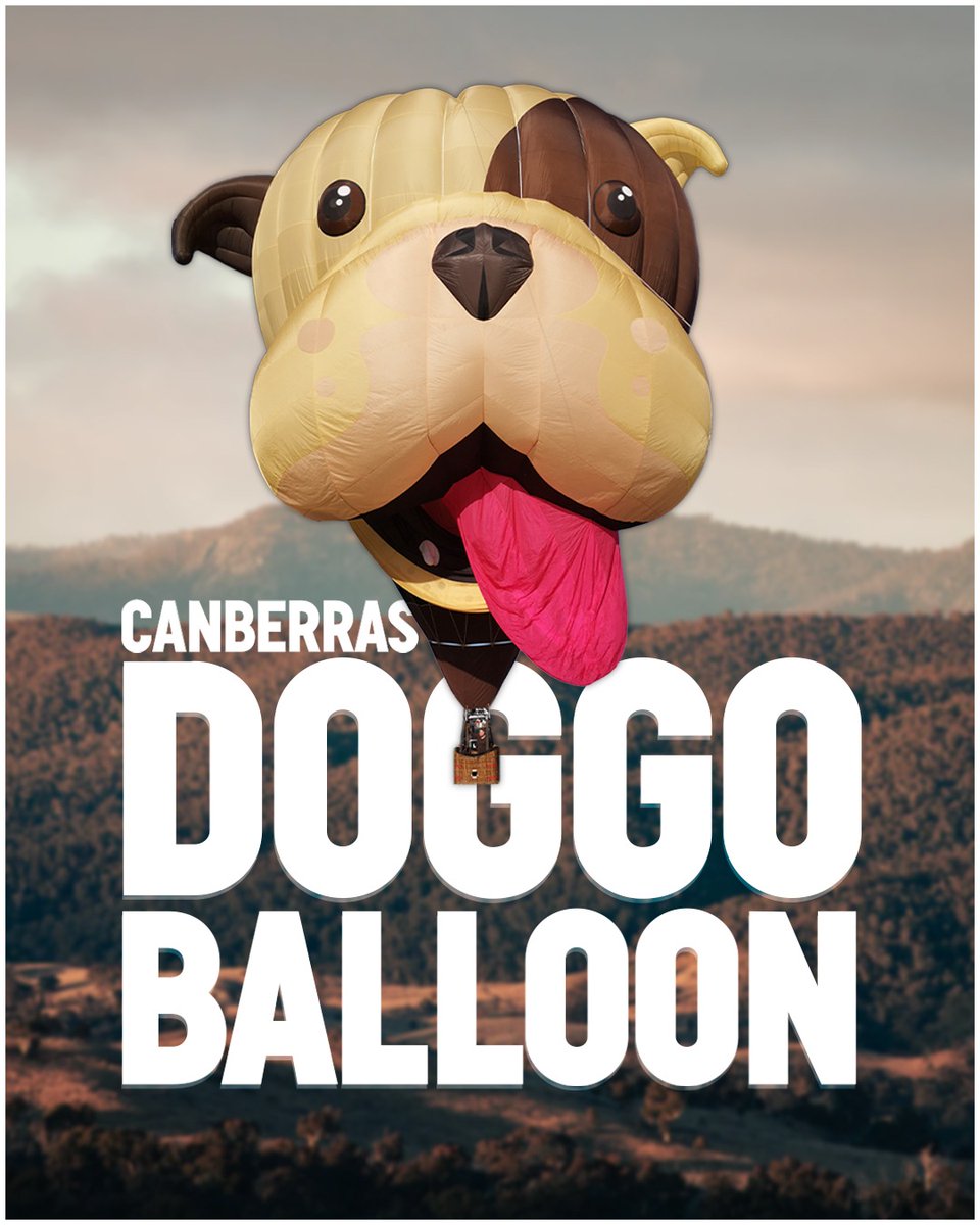 Tara Cheyne MLA: Tomorrow we welcome Buster the Bulldog to the Canberra Balloon Spectac…