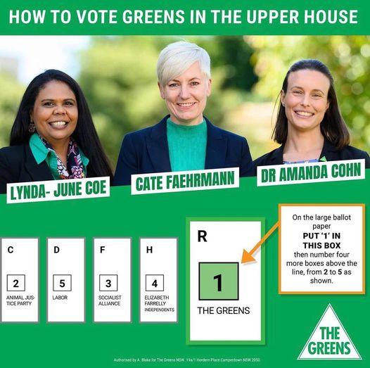 We have the chance to triple our representation in the NSW Upper ...