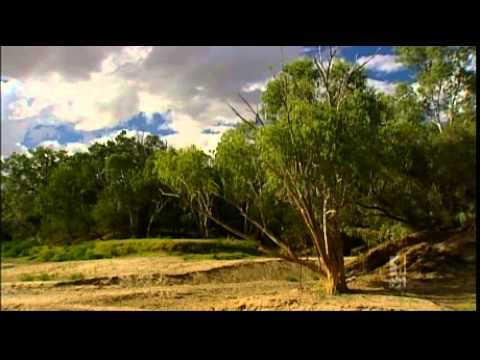 VIDEO: Australian Greens: ABC News Queensland – Irrigation project for Flinders River