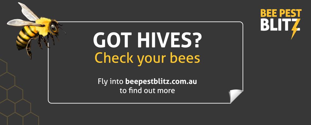 Find out what the buzz is about