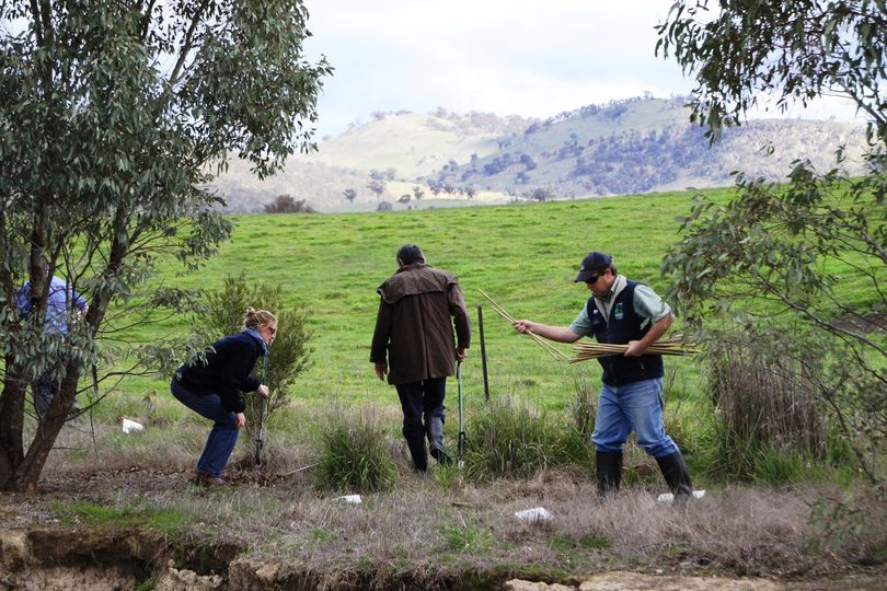 The Victorian Landcare Grants program is currently open and close...