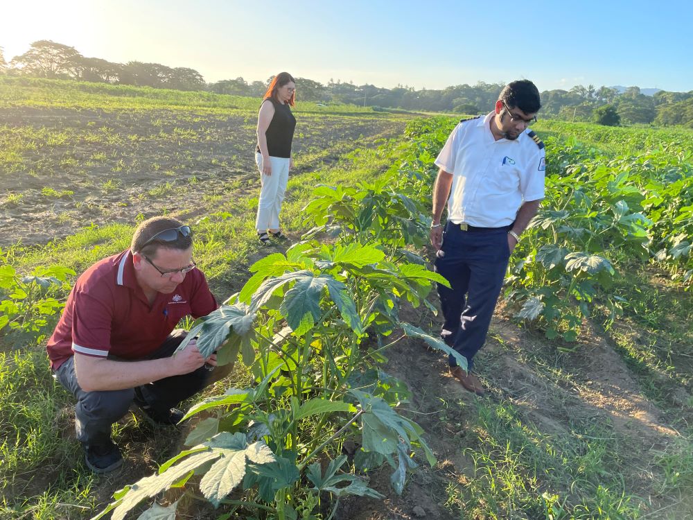 New strategy guides the department’s work in the Pacific