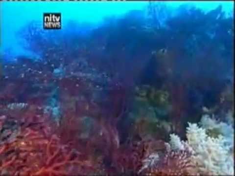 VIDEO: Australian Greens: Senator Larissa Waters – NITV – Great Barrier Reef – 8 November 2011