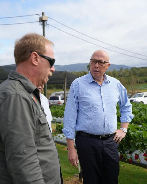 Peter Dutton: I caught up with Dave the team at Stothart Family Farms in Bellme…