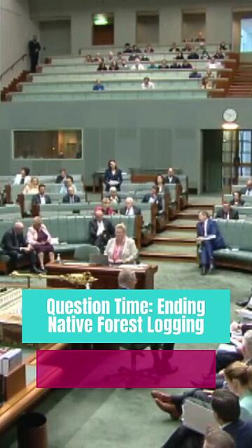 Native forest logging destroys our environment and pours fuel on ...