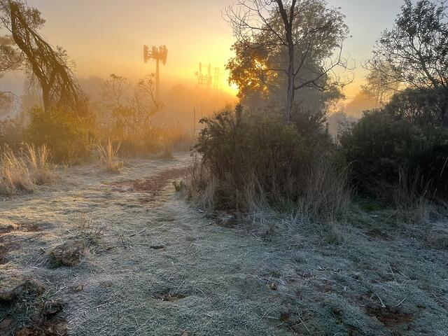 Five reps up a frosty Mt Majura. 23k of running, 1.3k of elevatio...