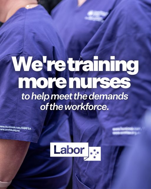 Nurses are the backbone of Australia's healthcare system, compris...