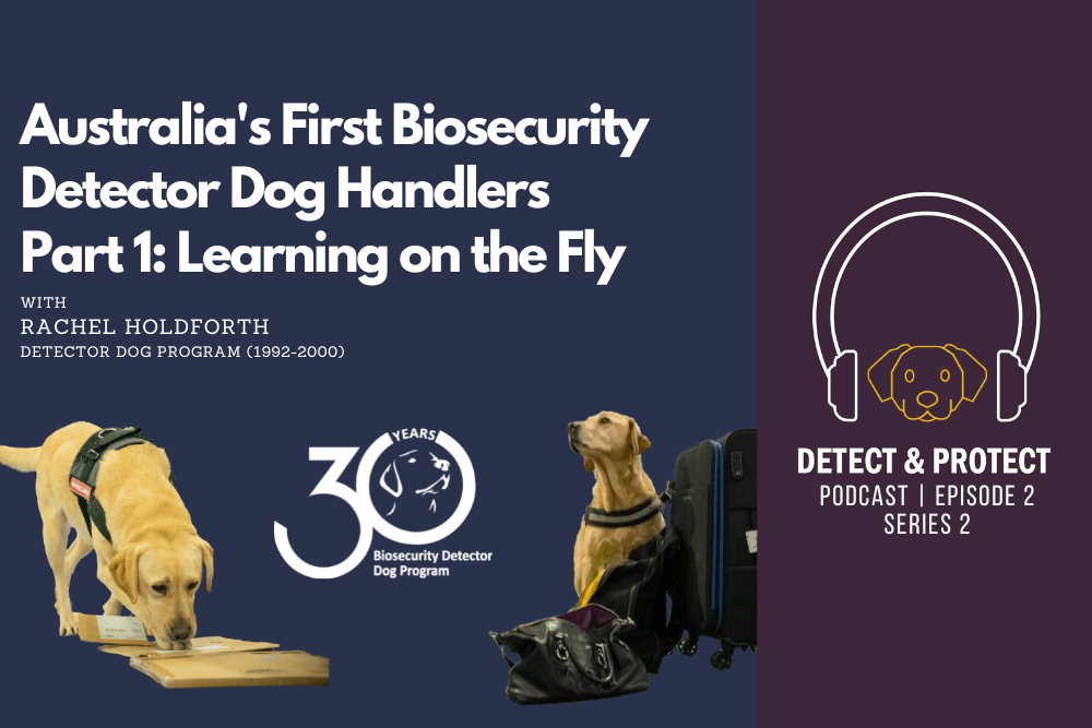 Australia’s First Biosecurity Detector Dog Handlers Part 1: Learning on the Fly