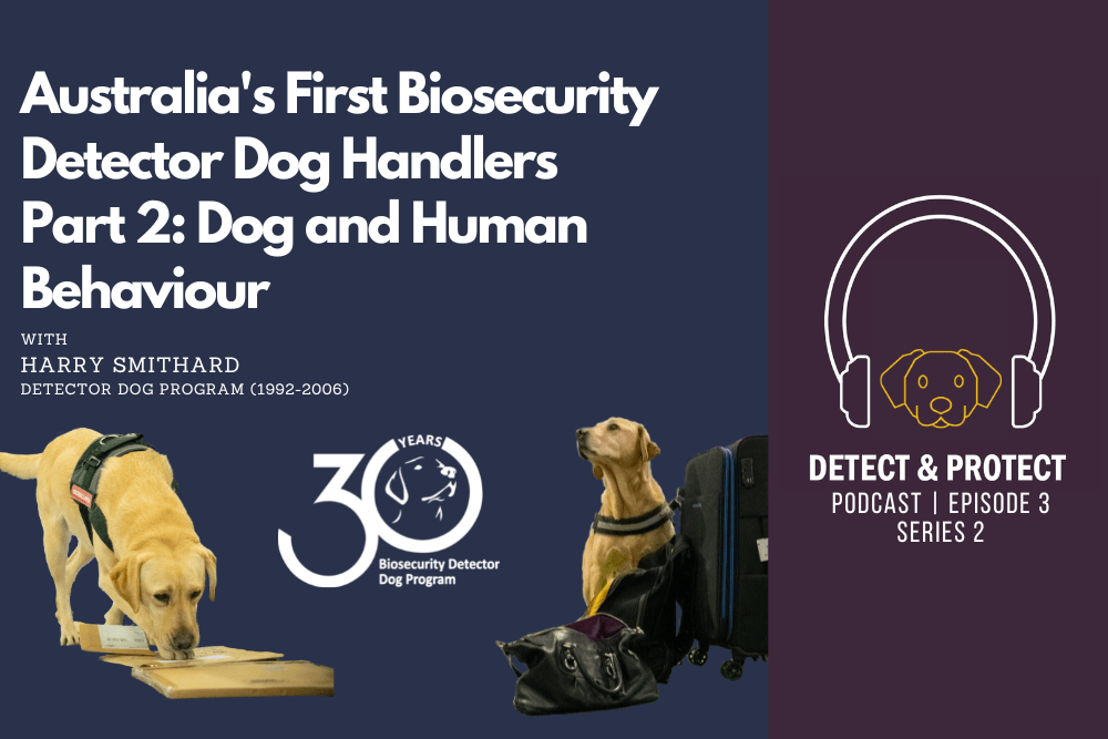 Australia’s First Biosecurity Detector Dog Handlers Part 2: Dog and Human Behaviour