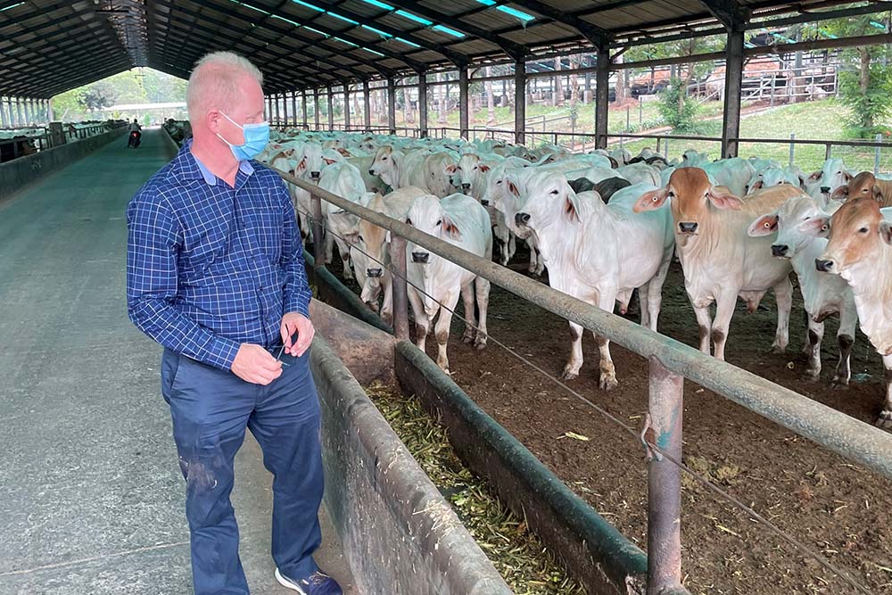 Boosting technical expertise to combat FMD and LSD in Indonesia