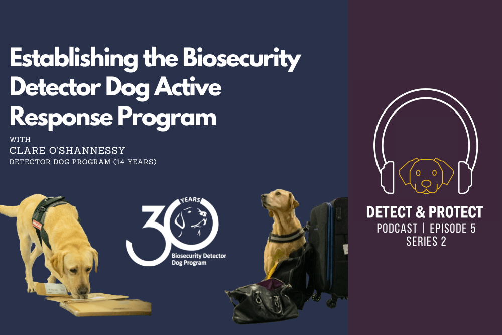 Establishing the Biosecurity Detector Dog Active Response Program