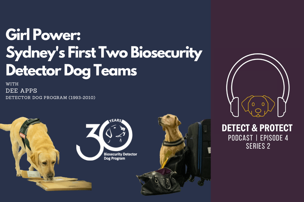 Girl Power: Sydney’s First Two Biosecurity Detector Dog Teams