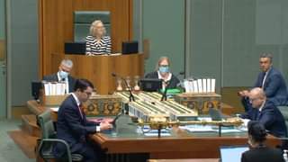 Helen Haines MP: I love telling the Parliament about the good news stories of Indi...