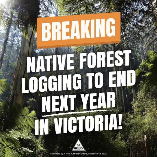Time for Tasmania to end the assault on nature from native forest...