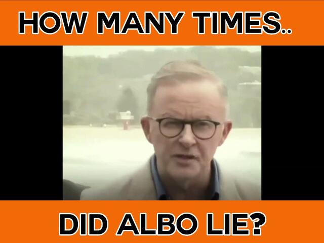 How many times did Anthony Albanese lie about power prices and wh...