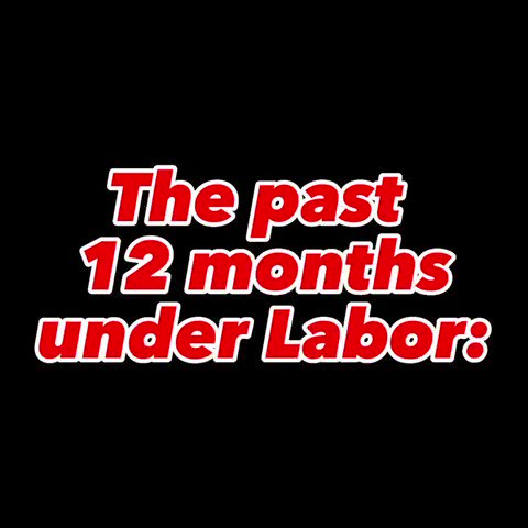 It’s been 12 months under Labor.  Australians are going backward...