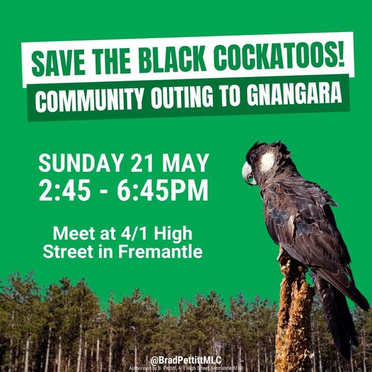 Join Dr Brad Pettitt MLC and bird experts on a community outing t...