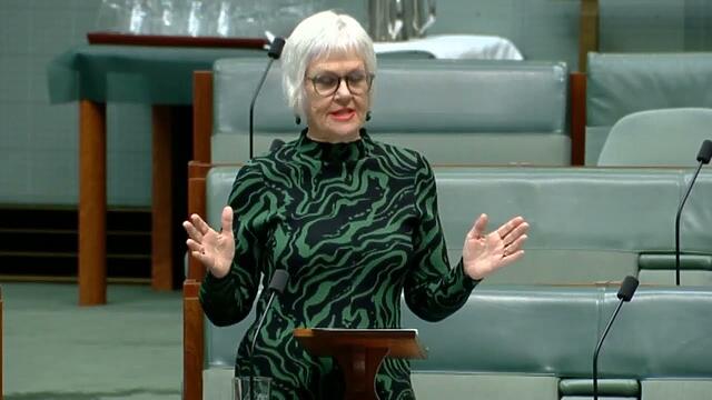 VIDEO: Australian Greens: Elizabeth Watson-Brown speaks to the urgency for the government to build public homes