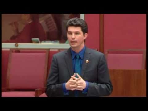 Senator Scott Ludlam-cluster munitions.wmv