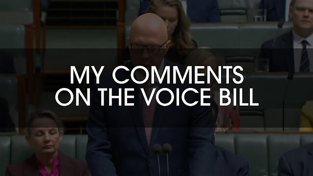 My comments on the Government's Voice Bill