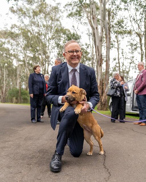 Anthony Albanese: Sorry Toto  Made some friends while opening the new Animal Welfar…
