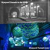 For the first time in 60 years, these tunnels under Sydney are ba...