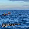 I've got some great news - a baby humpback whale has been freed a...