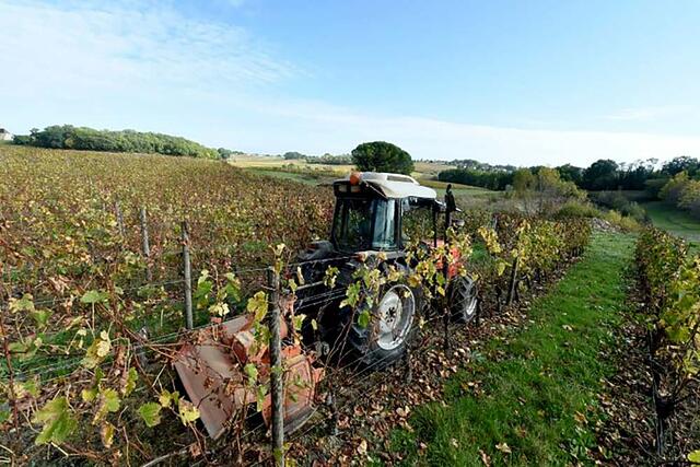 Controlling weeds autonomously? What more could you want!