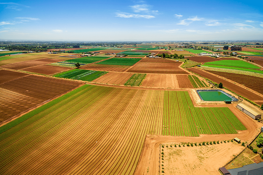 Strong growth for Australian broadacre farmland prices