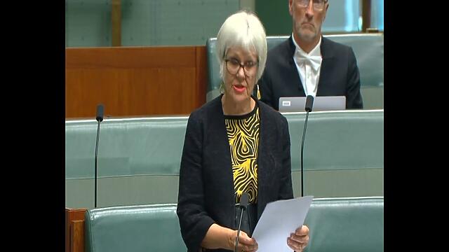 Elizabeth Watson Brown MP speaks about the weaknesses in Labor's National Reconstruction Fund