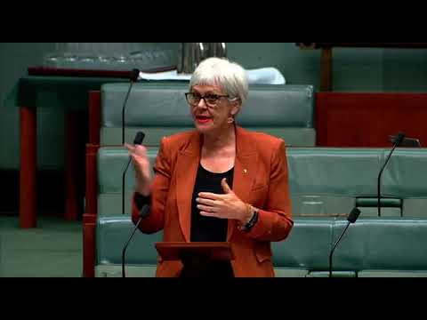 Elizabeth Watson-Brown MP speaks on access to GPs