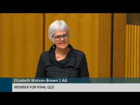 Elizabeth Watson-Brown moves that the government scrap tax cuts for the rich & invest in Australians