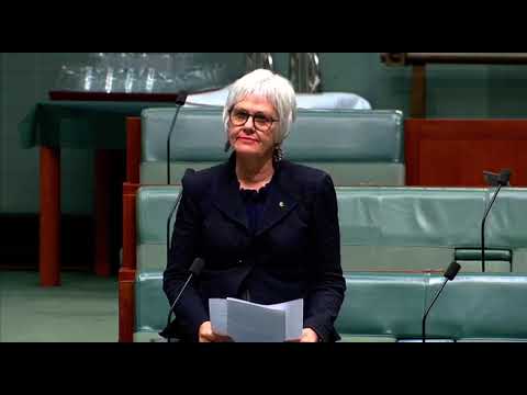 Elizabeth Watson-Brown speaks about Labor cuts to mental health provisions