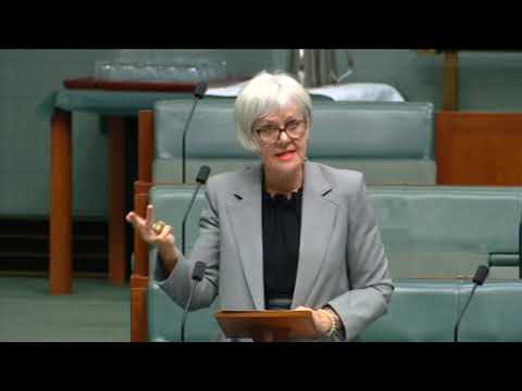 Elizabeth Watson-Brown speaks about Labor's October 2022 budget