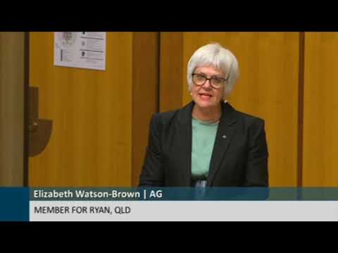 Elizabeth Watson-Brown speaks about the need for the federal government to fund public transport