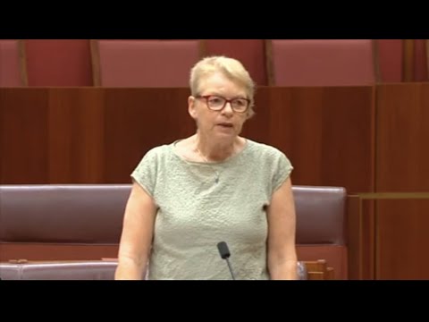 Senator Janet Rice calls for immediate action to enforce the heavy truck curfew in Footscray.