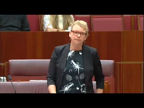 Senator Janet Rice on JobSeeker and the cost of living crisis