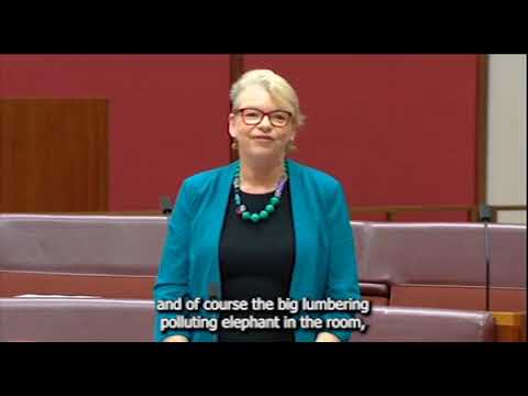 Senator Janet Rice talks to Labor's Climate Bill 07/09