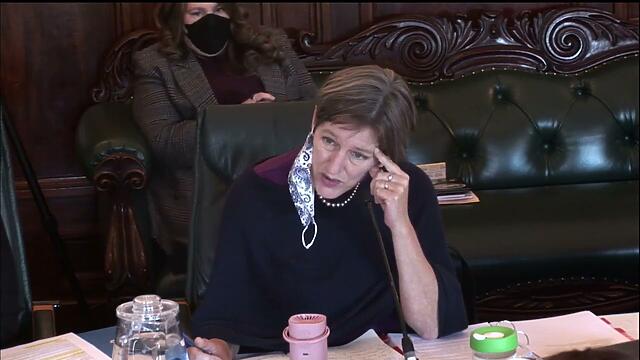VIDEO: Tasmanian Greens MPs: National Cabinet and Premier Rockliff’s Covid response.