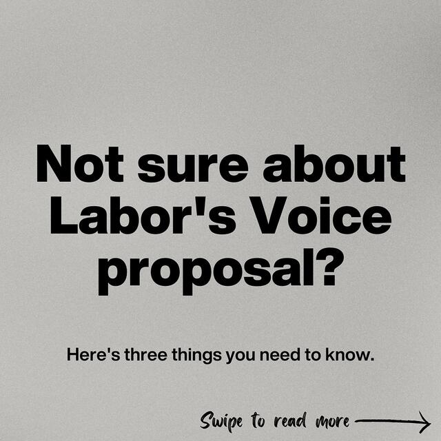 Liberal Party of Australia: Here’s three things you need to know about Labor’s risky voice….