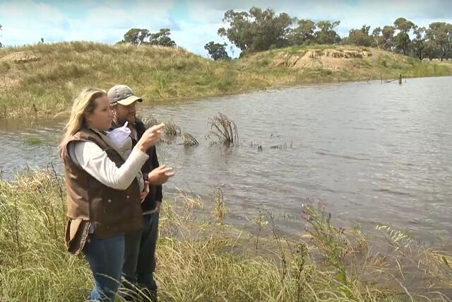 Securing water for livestock and landscape