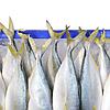 Analysis – Opportunities for Australian Seafood Exports under the A-UKFTA